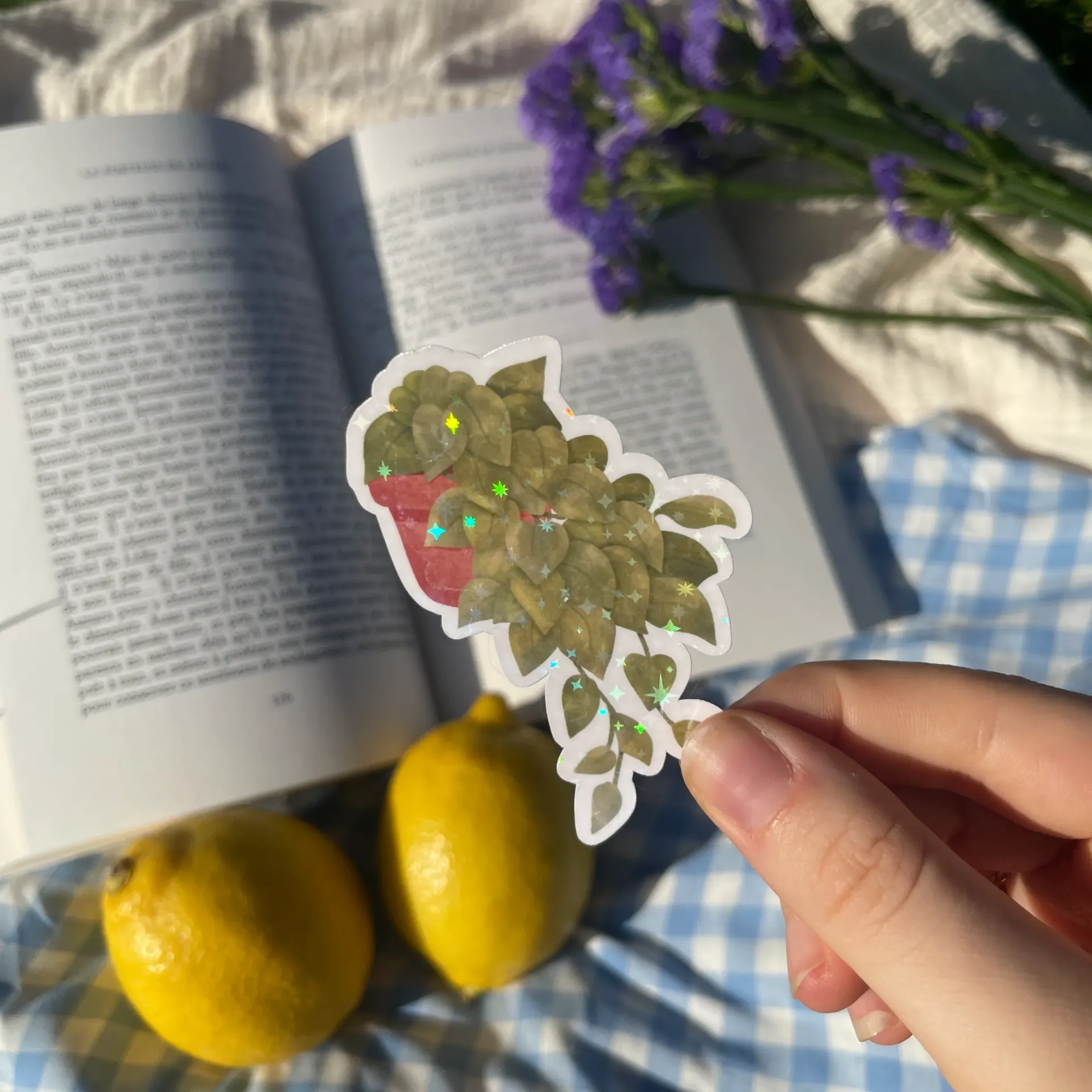Sticker - Pothos